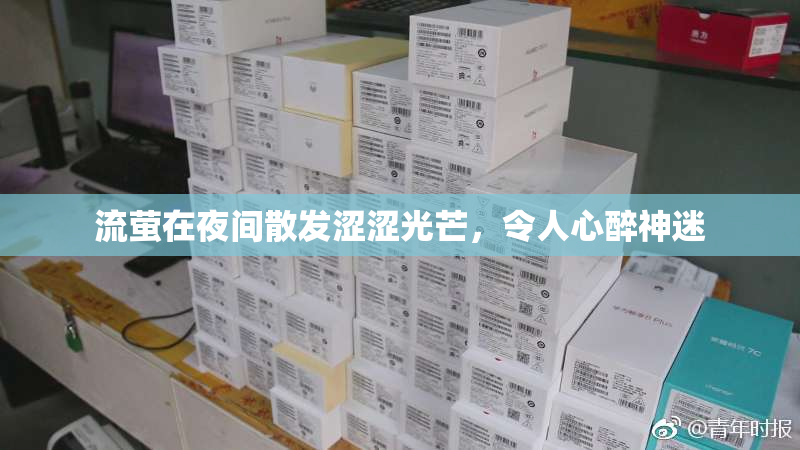 流萤在夜间散发涩涩光芒，令人心醉神迷