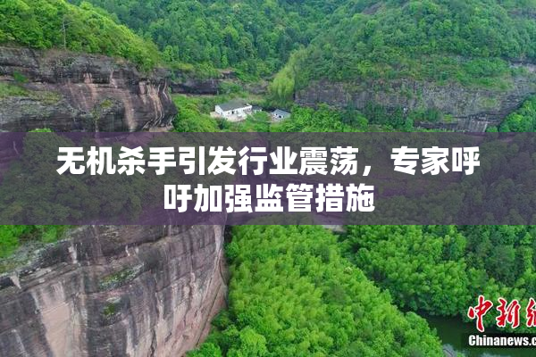 无机杀手引发行业震荡，专家呼吁加强监管措施