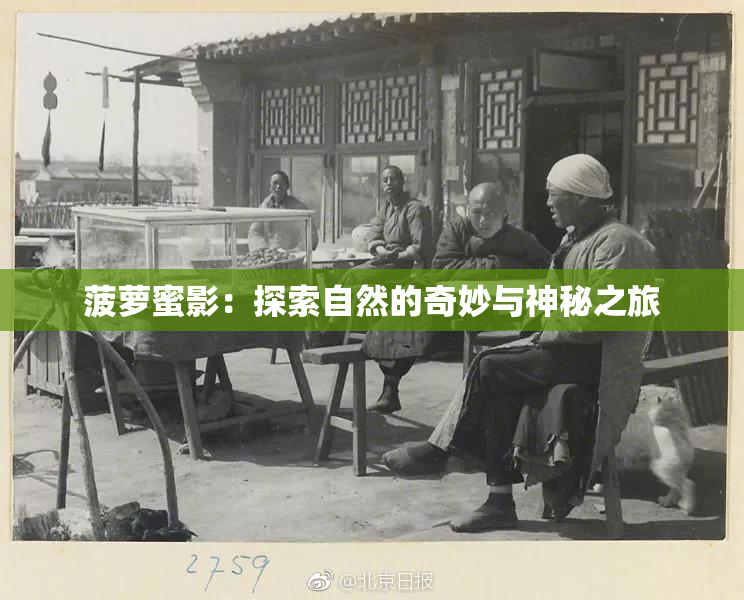 菠萝蜜影：探索自然的奇妙与神秘之旅