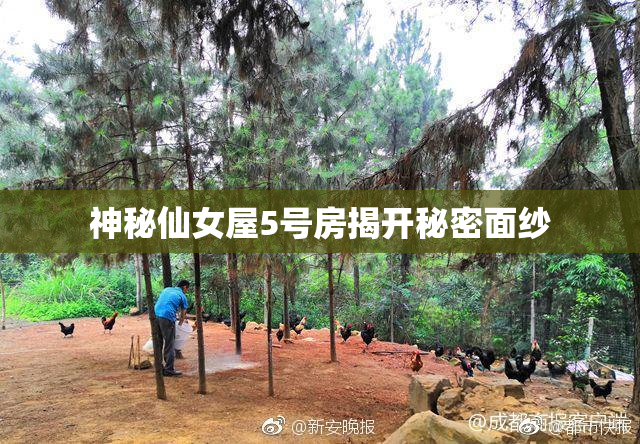 神秘仙女屋5号房揭开秘密面纱