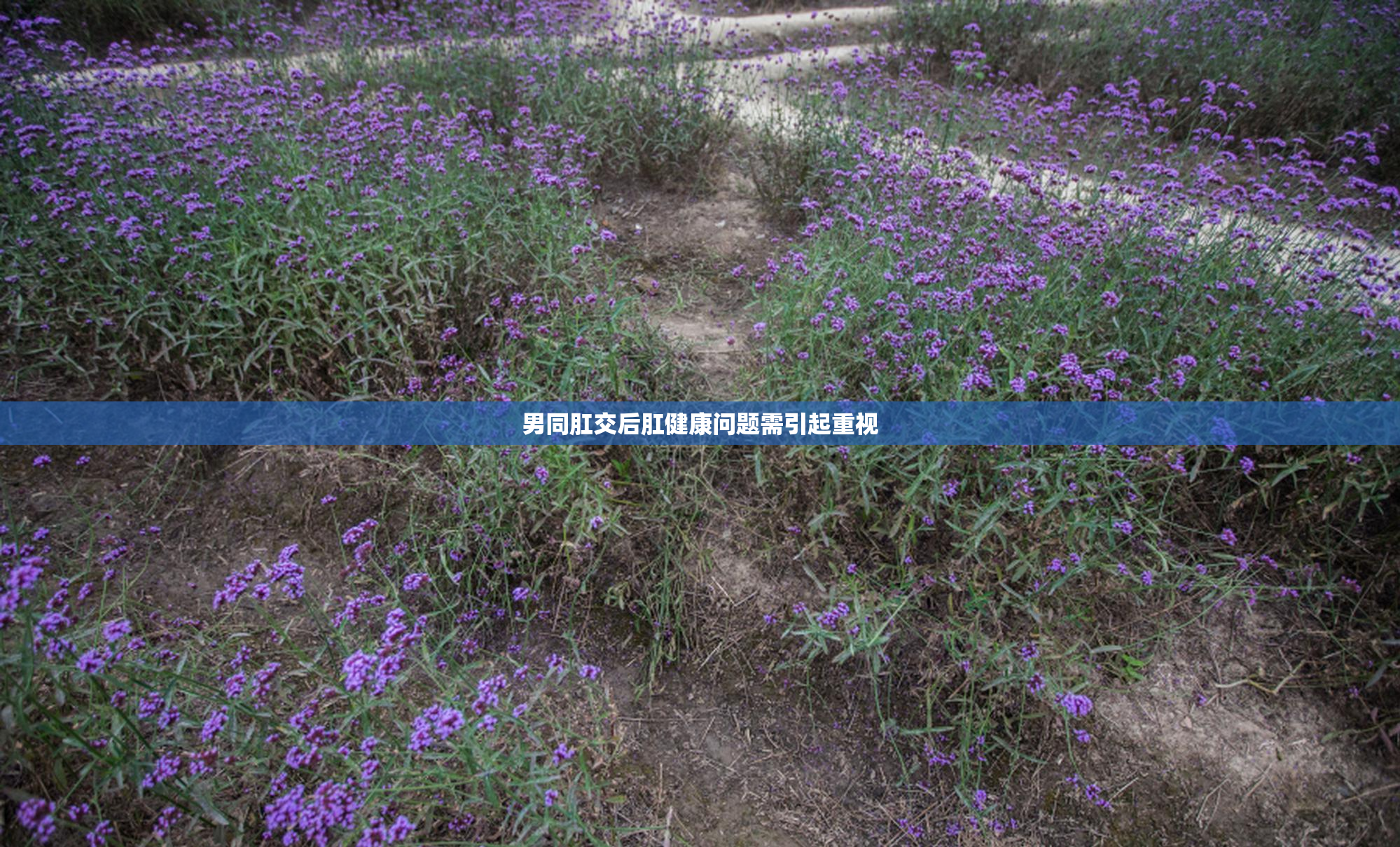 男同肛交后肛健康问题需引起重视
