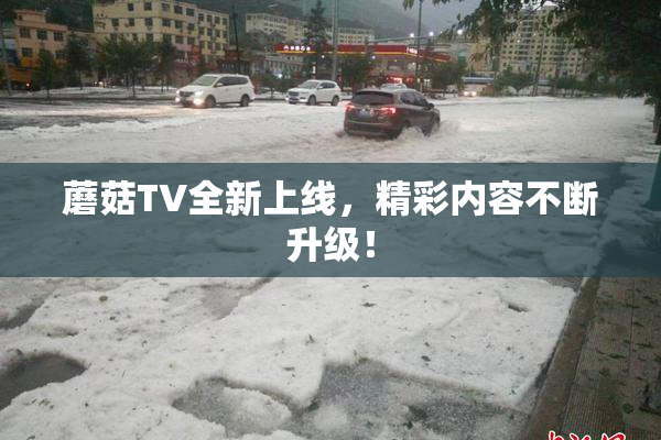 蘑菇TV全新上线，精彩内容不断升级！