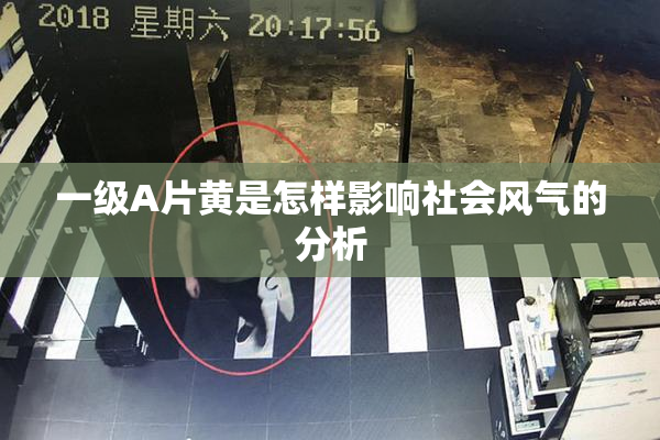 一级A片黄是怎样影响社会风气的分析