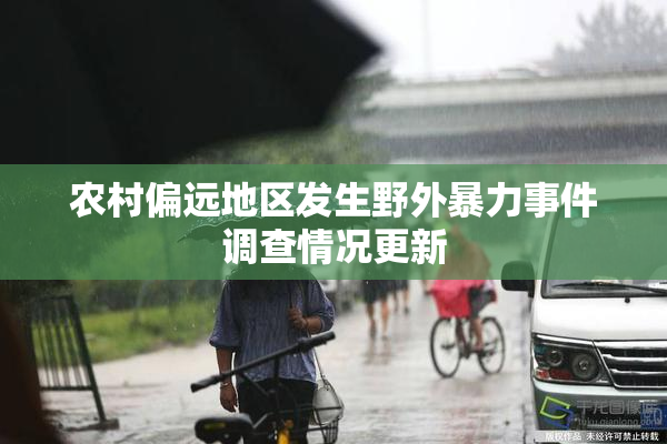 农村偏远地区发生野外暴力事件调查情况更新