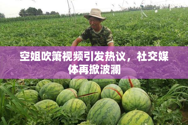 空姐吹箫视频引发热议，社交媒体再掀波澜