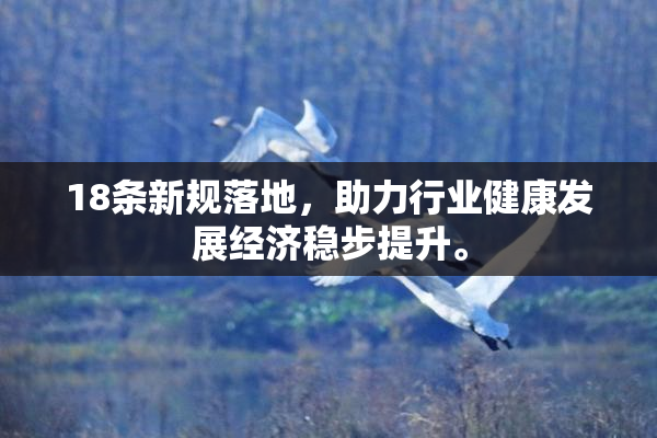 18条新规落地，助力行业健康发展经济稳步提升。
