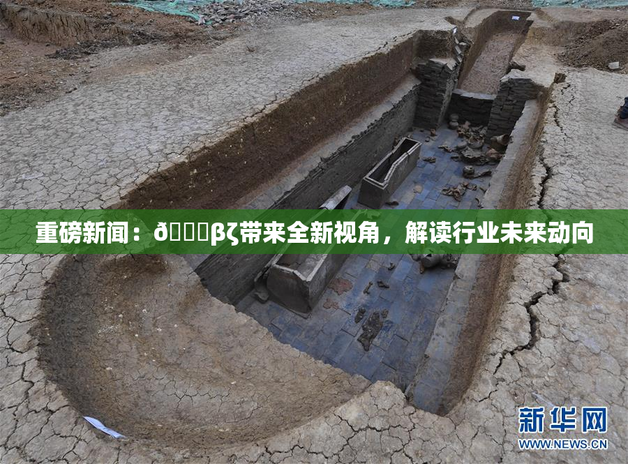 重磅新闻：👙βζ带来全新视角，解读行业未来动向