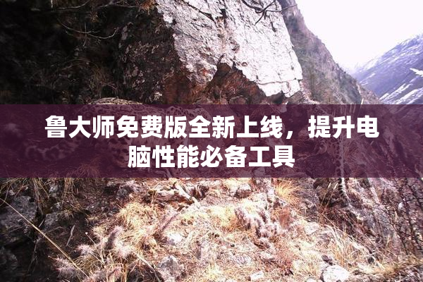 鲁大师免费版全新上线，提升电脑性能必备工具