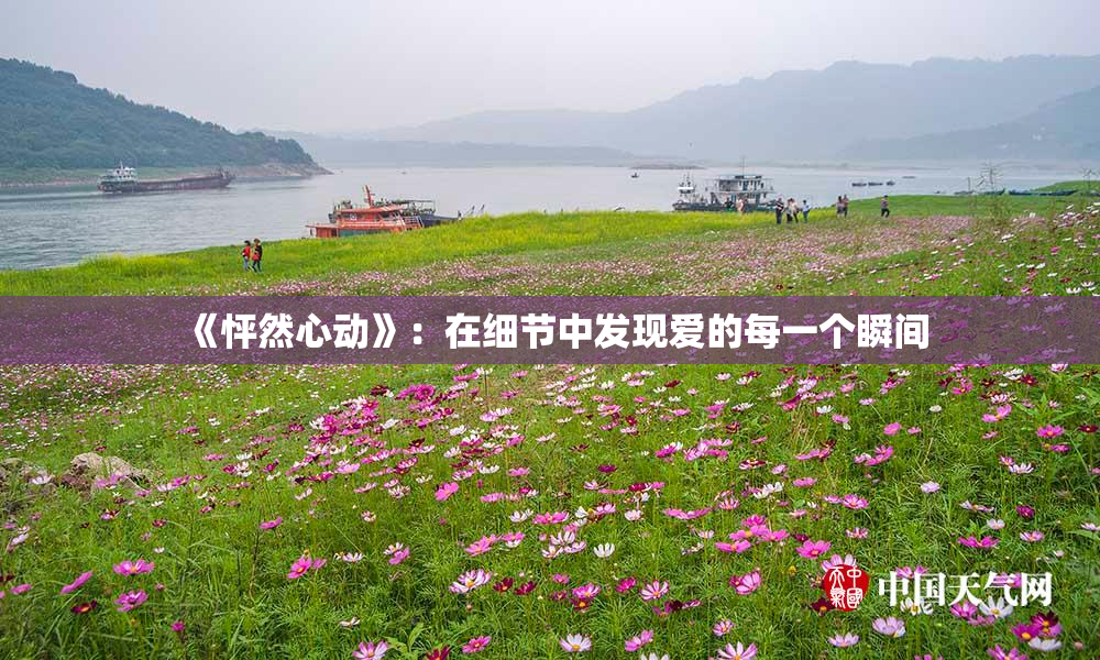 《怦然心动》：在细节中发现爱的每一个瞬间