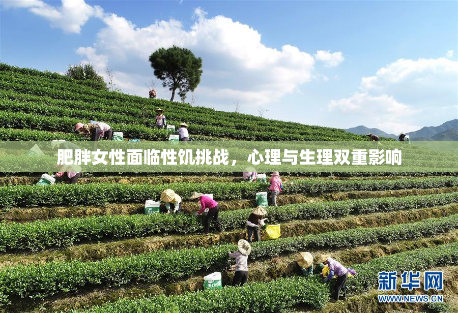 肥胖女性面临性饥挑战，心理与生理双重影响
