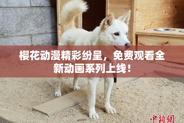 樱花动漫精彩纷呈，免费观看全新动画系列上线！