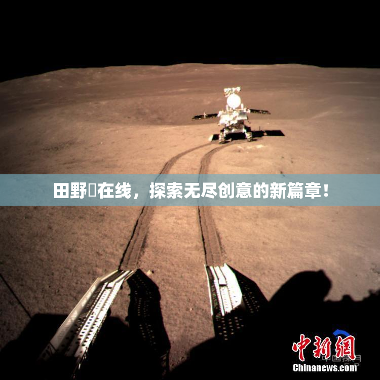 田野憂在线，探索无尽创意的新篇章！