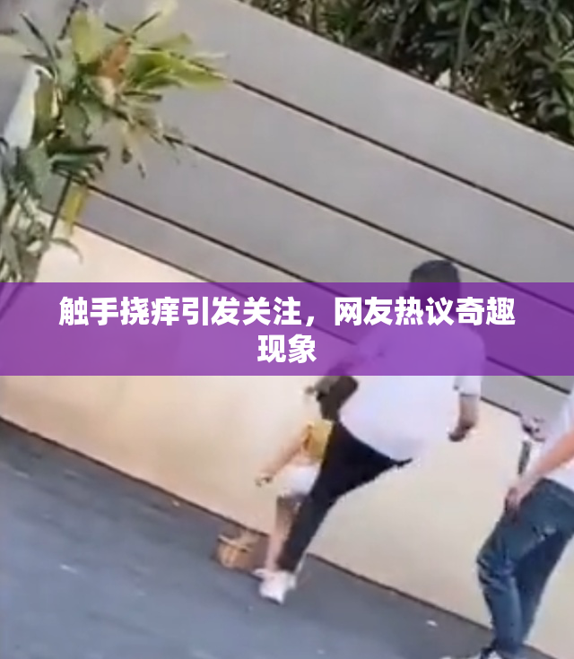 触手挠痒引发关注，网友热议奇趣现象