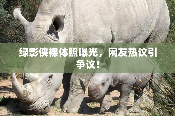 绿影侠裸体照曝光，网友热议引争议！