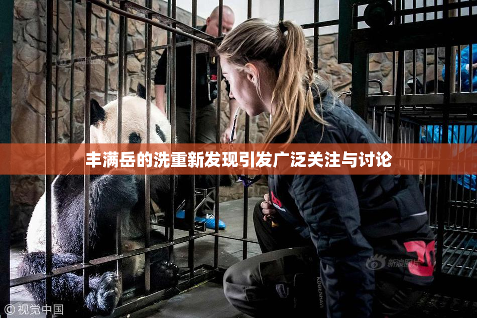 丰满岳的洗重新发现引发广泛关注与讨论