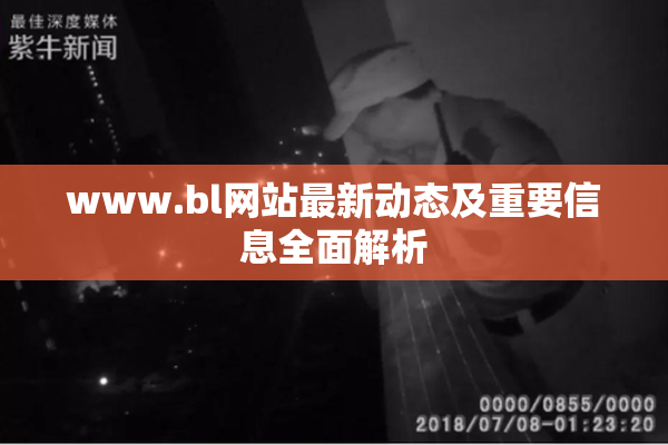 www.bl网站最新动态及重要信息全面解析