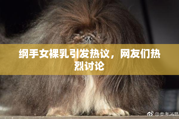 纲手女裸乳引发热议，网友们热烈讨论
