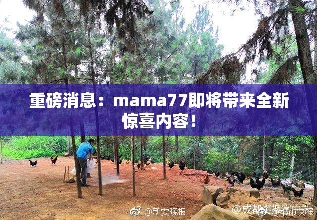 重磅消息：mama77即将带来全新惊喜内容！