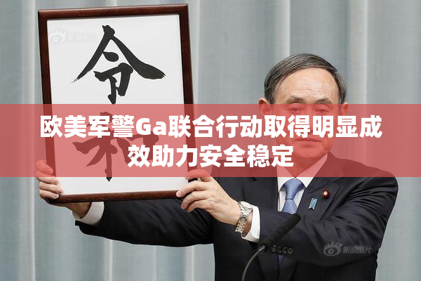 欧美军警Ga联合行动取得明显成效助力安全稳定