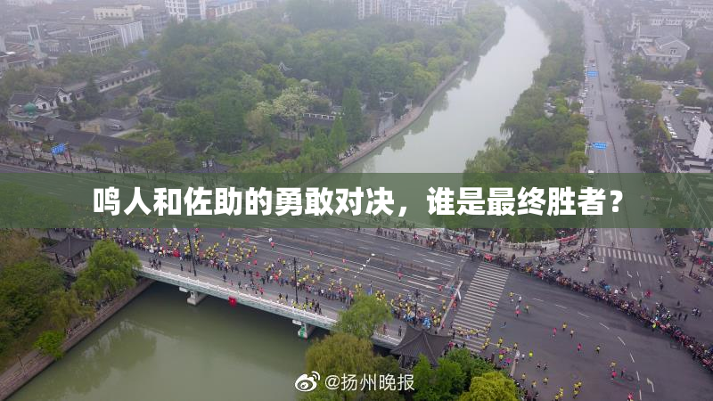 鸣人和佐助的勇敢对决，谁是最终胜者？
