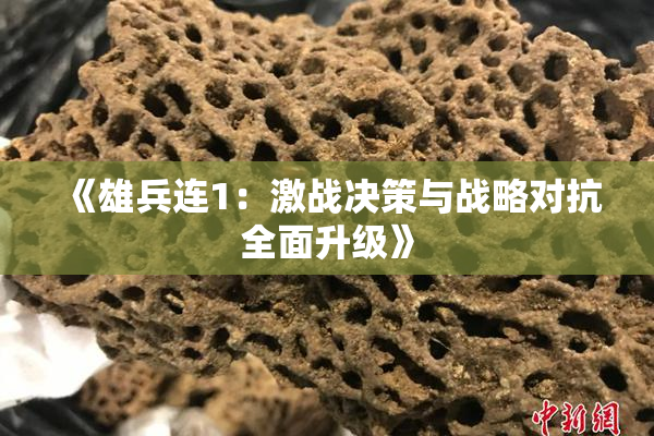 《雄兵连1：激战决策与战略对抗全面升级》