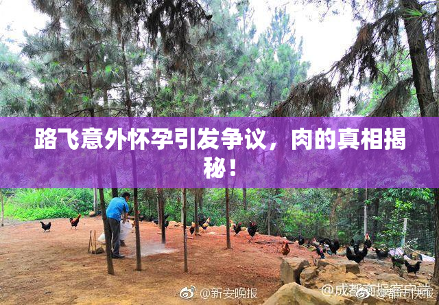 路飞意外怀孕引发争议，肉的真相揭秘！