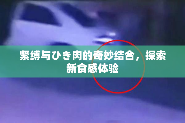 紧缚与ひき肉的奇妙结合，探索新食感体验