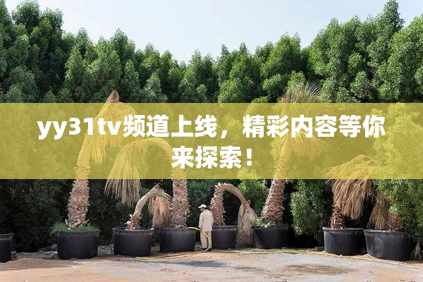yy31tv频道上线，精彩内容等你来探索！