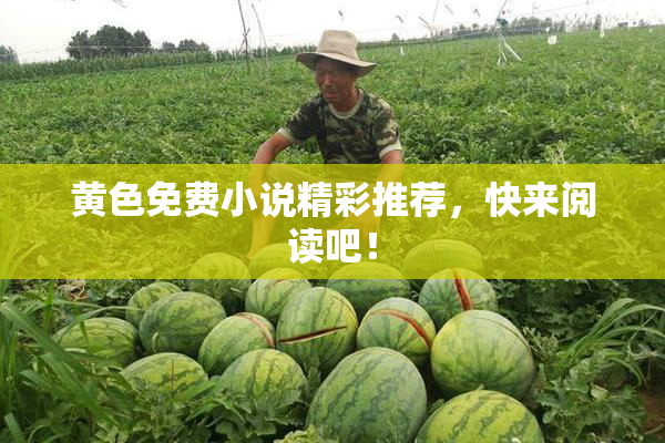 黄色免费小说精彩推荐，快来阅读吧！