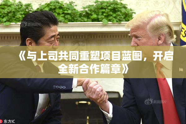 《与上司共同重塑项目蓝图，开启全新合作篇章》