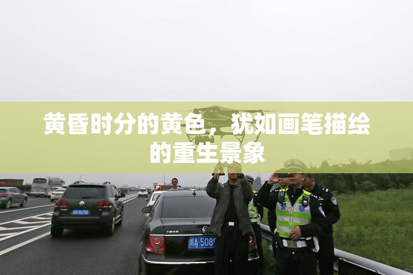 黄昏时分的黄色，犹如画笔描绘的重生景象