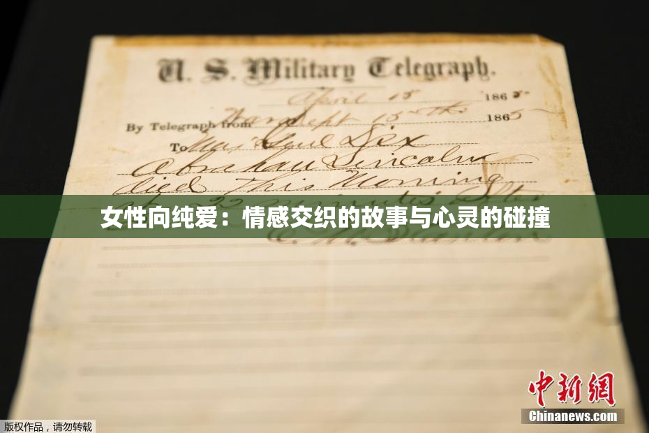 女性向纯爱：情感交织的故事与心灵的碰撞