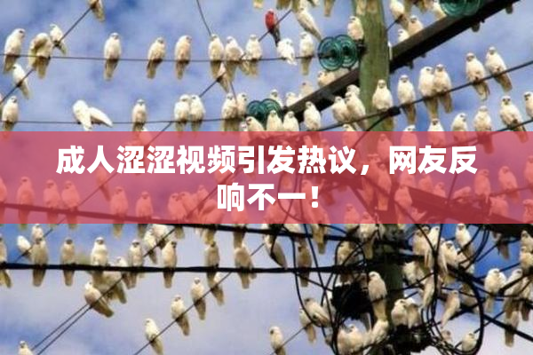 成人涩涩视频引发热议，网友反响不一！