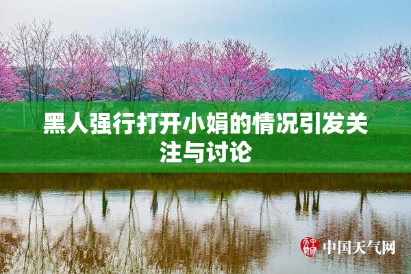 黑人强行打开小娟的情况引发关注与讨论