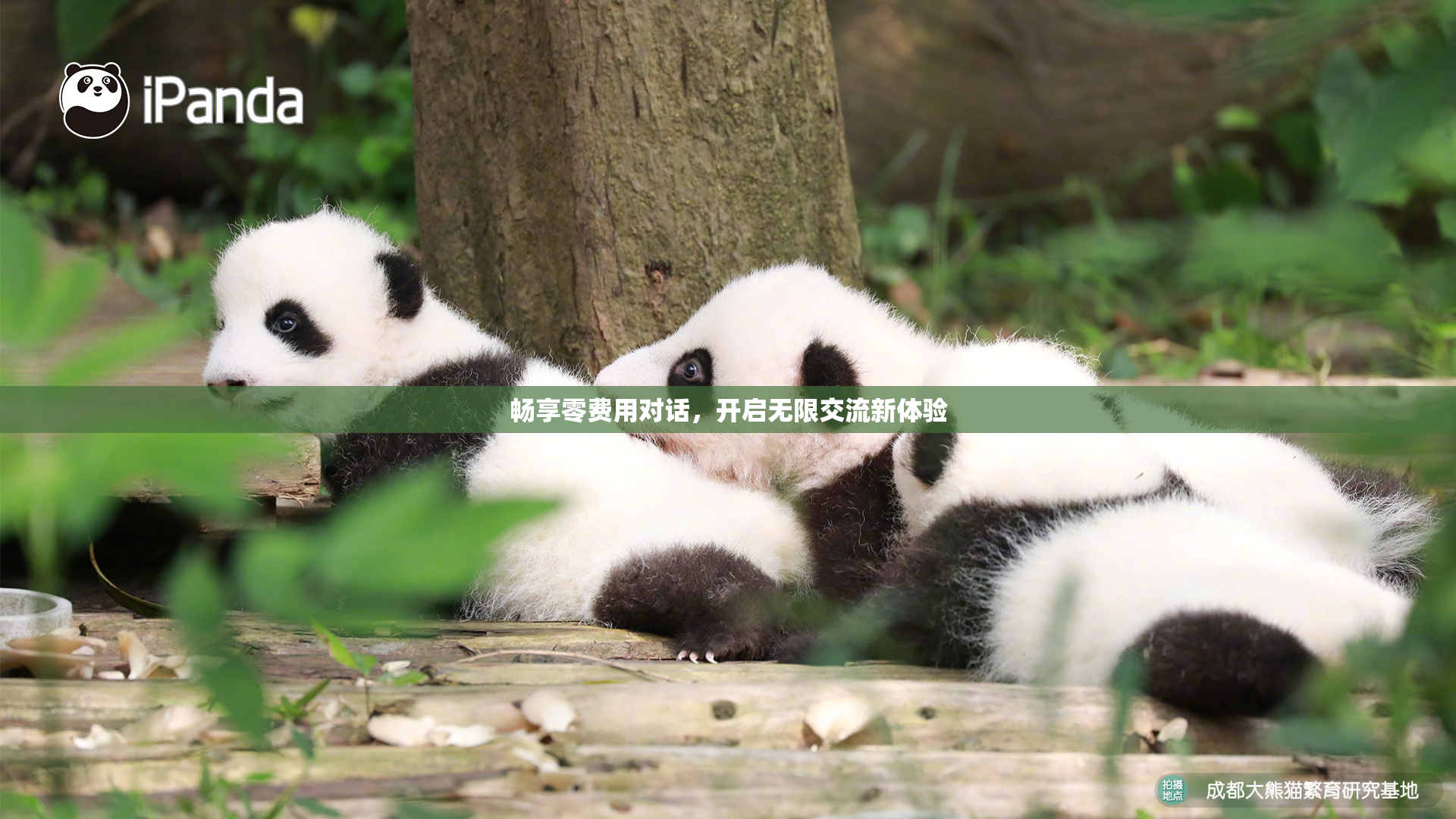 畅享零费用对话，开启无限交流新体验