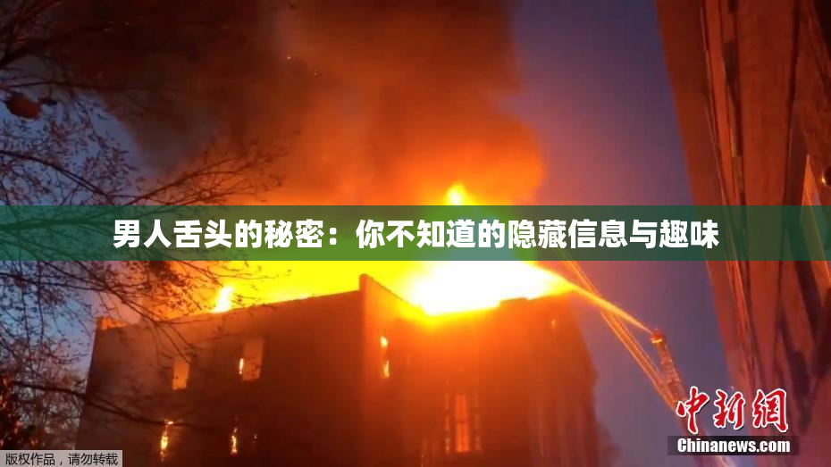 男人舌头的秘密：你不知道的隐藏信息与趣味