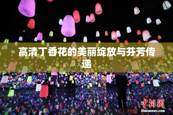 高清丁香花的美丽绽放与芬芳传递