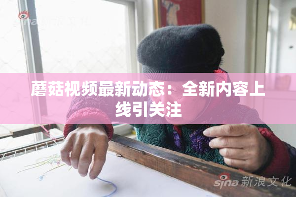 蘑菇视频最新动态：全新内容上线引关注