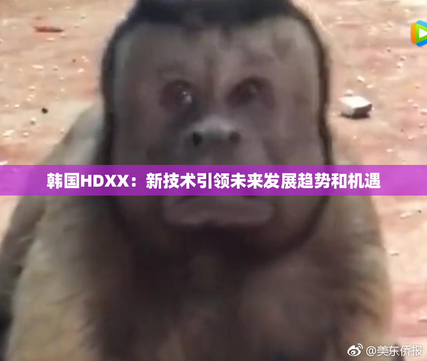 韩国HDXX：新技术引领未来发展趋势和机遇