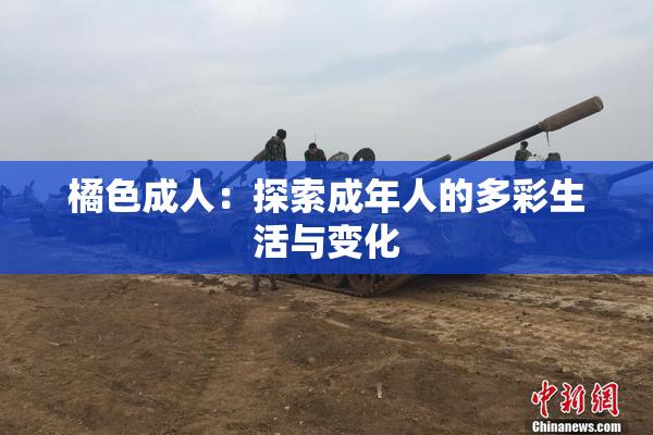 橘色成人：探索成年人的多彩生活与变化