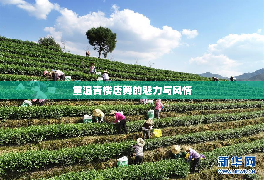 重温青楼唐舞的魅力与风情