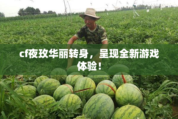 cf夜玫华丽转身，呈现全新游戏体验！
