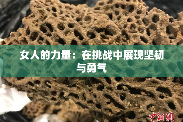 女人的力量：在挑战中展现坚韧与勇气