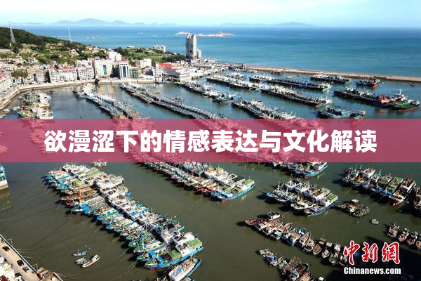 欲漫涩下的情感表达与文化解读