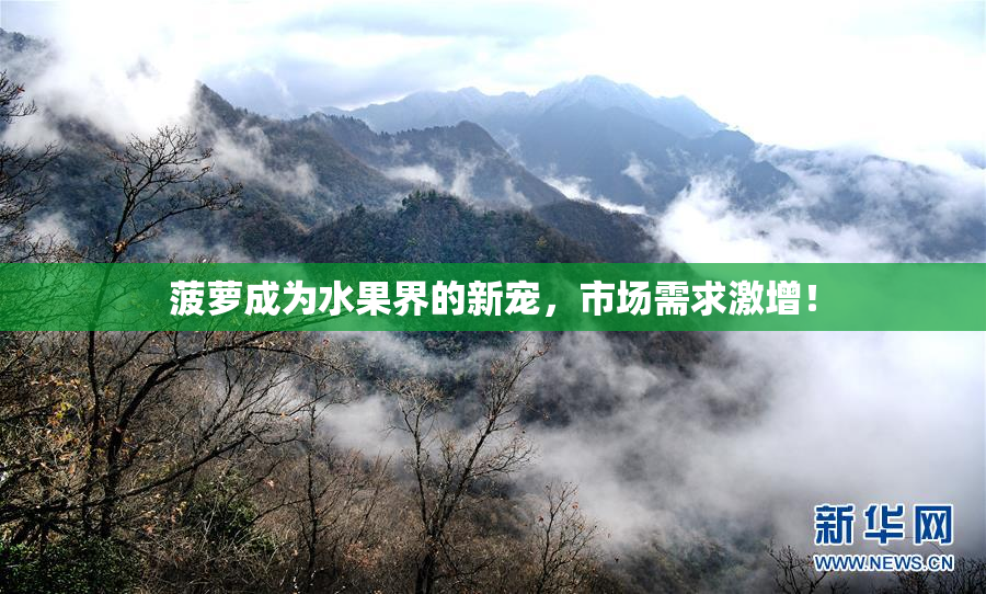菠萝成为水果界的新宠，市场需求激增！
