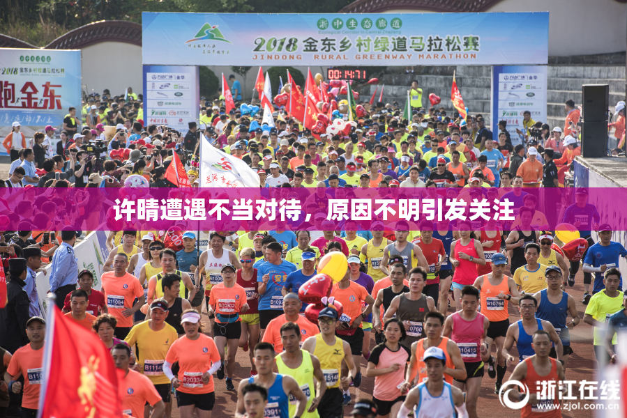 许晴遭遇不当对待，原因不明引发关注