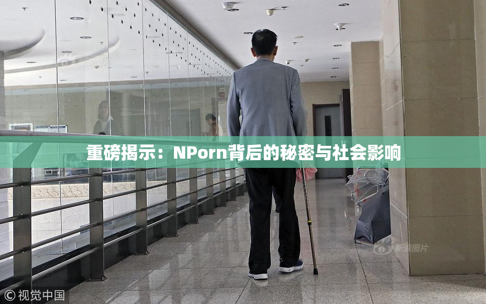 重磅揭示：ΝPorn背后的秘密与社会影响
