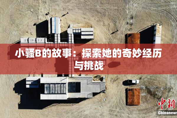 小骚B的故事：探索她的奇妙经历与挑战