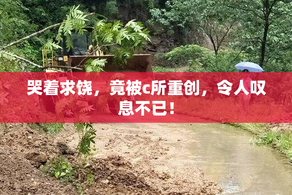 哭着求饶，竟被c所重创，令人叹息不已！