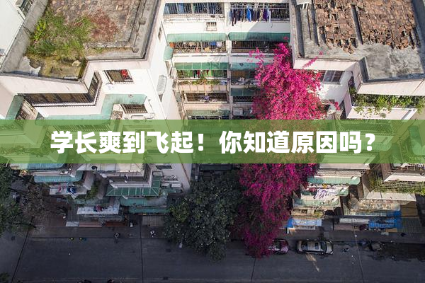 学长爽到飞起！你知道原因吗？